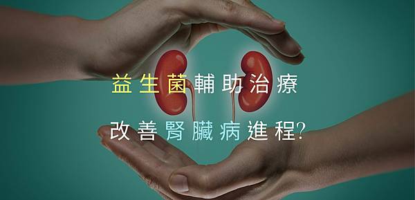 益生菌改善腎臟病_真的有效嗎_房角石藥局.jpg