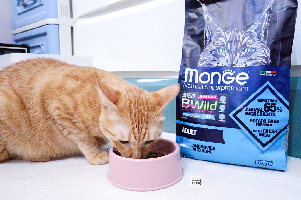 IMG_3757.jpg IMG_3757.jpg