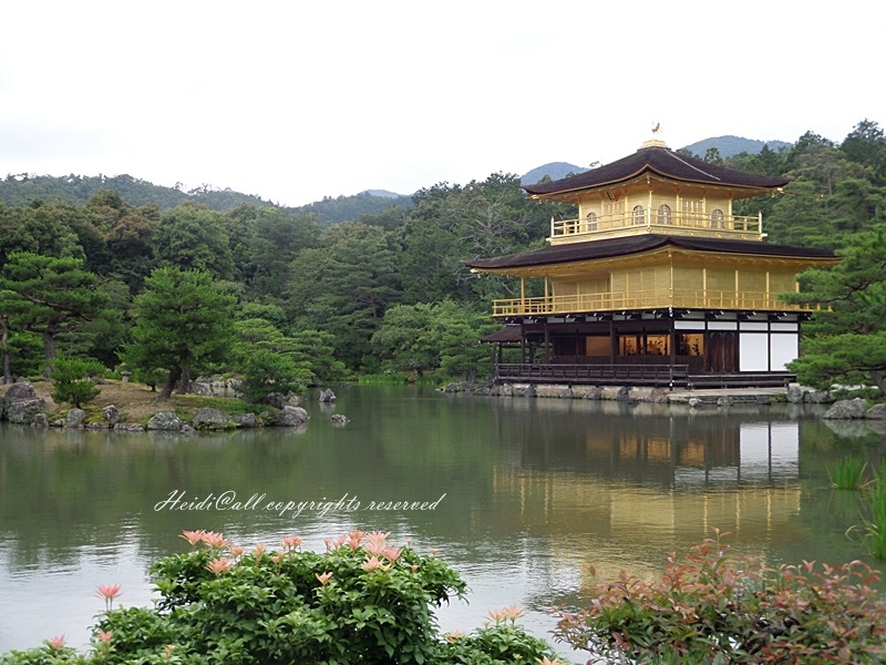 日本 京都金閣寺必訪世界遺產交通行程安排 飛行海蒂 痞客邦