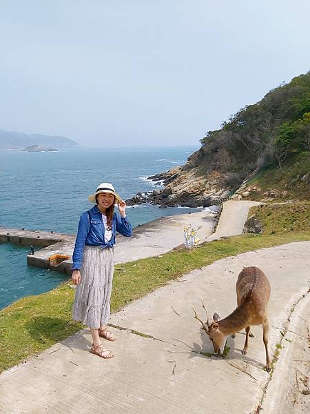 馬祖大坵島梅花鹿5.jpg