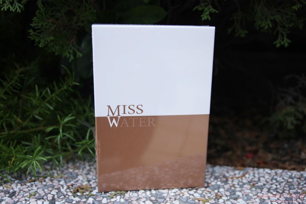 MISS Water1.JPG