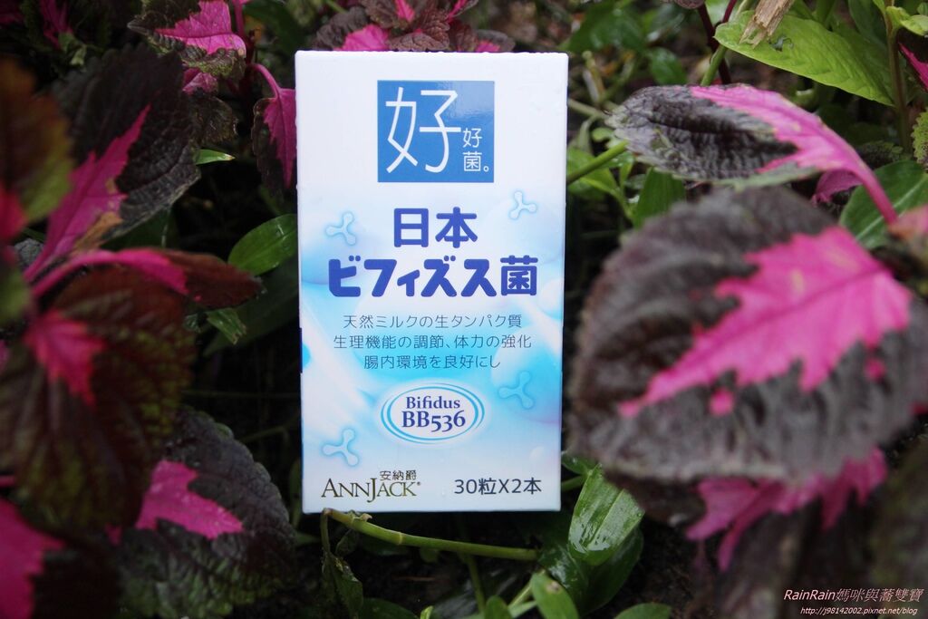 日本森永bb5361.JPG 日本森永bb5361.JPG