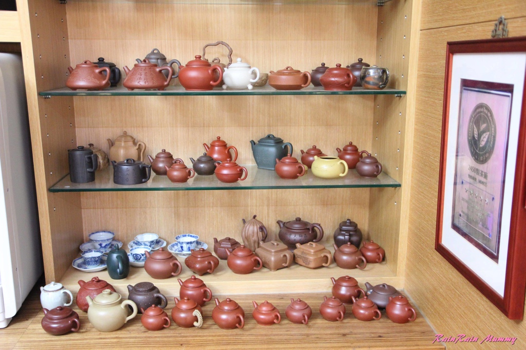 TopTea4U 台灣採茶趣12.JPG