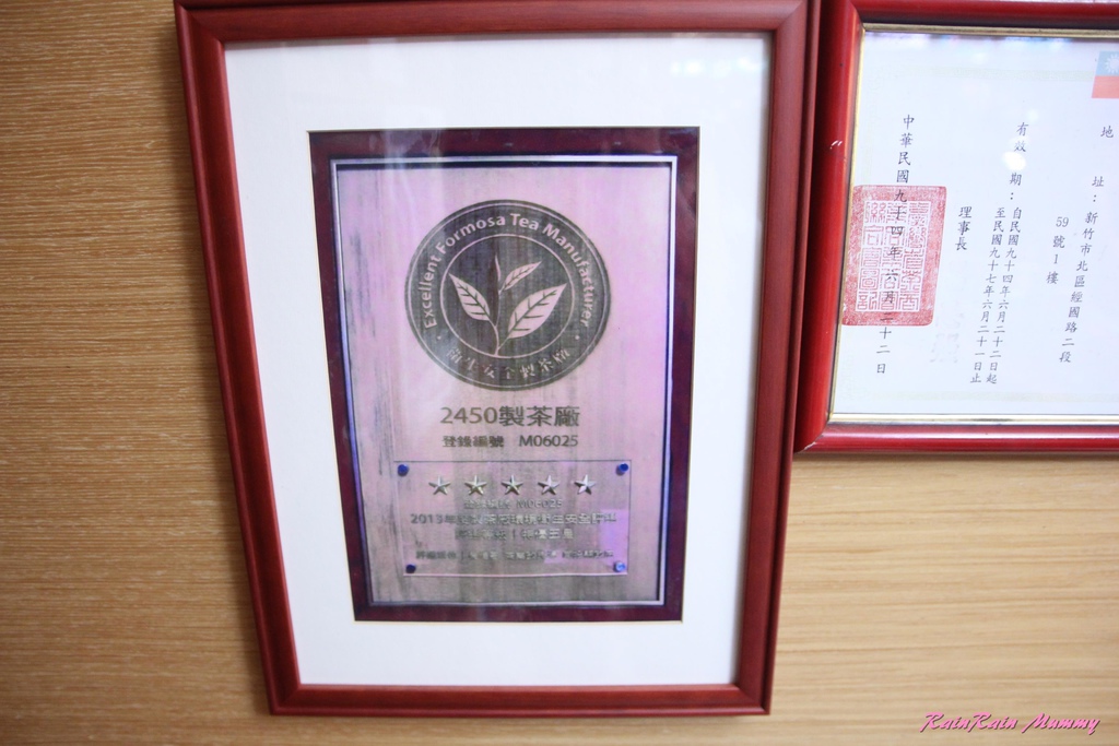 TopTea4U 台灣採茶趣13-1.JPG