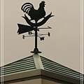 屋頂上的指南雞