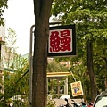 P1040129.JPG
