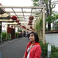 花博20110417-111113-140.JPG