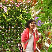 花博20110417-101049-058.JPG