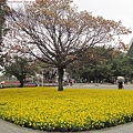 花博20110417-090818-002.JPG