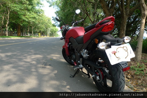 T2遮車牌照_resize T2遮車牌照_resize