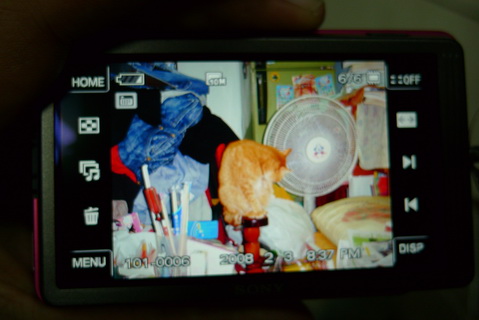 P1000098_調整大小.JPG P1000098_調整大小.JPG