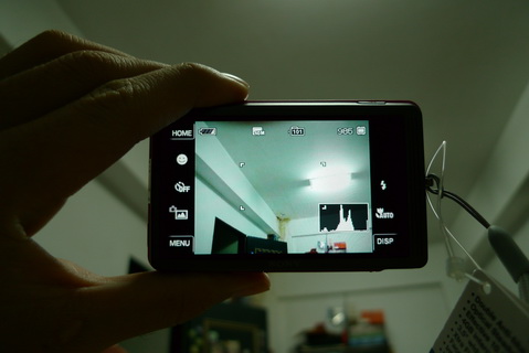 P1000095_調整大小.JPG P1000095_調整大小.JPG