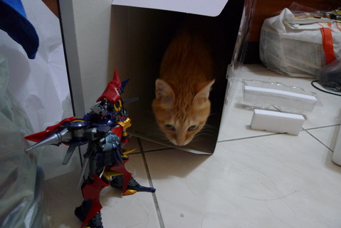 P1010927_調整大小.JPG P1010927_調整大小.JPG