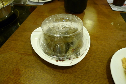 P1020026_調整大小.JPG P1020026_調整大小.JPG