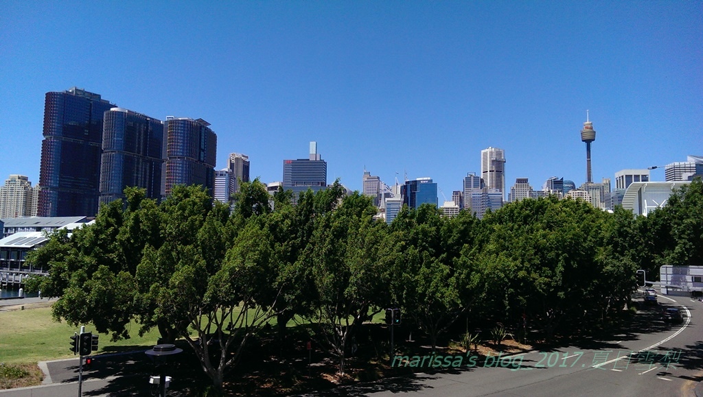 IMAG7957.jpg IMAG7957.jpg