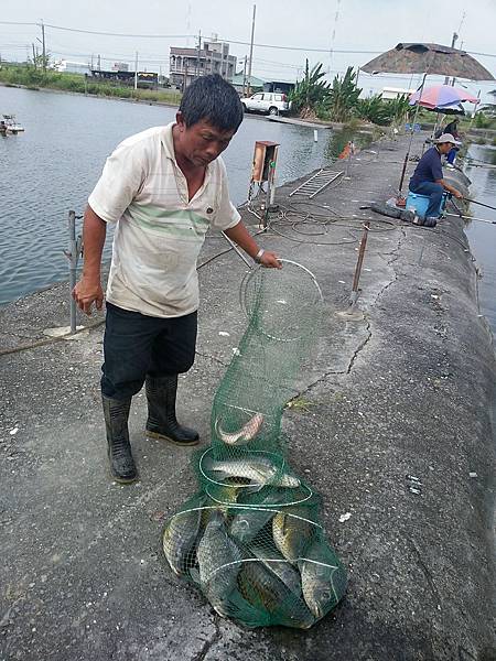20150924_122836 圖片點擊可在新窗口打開查看