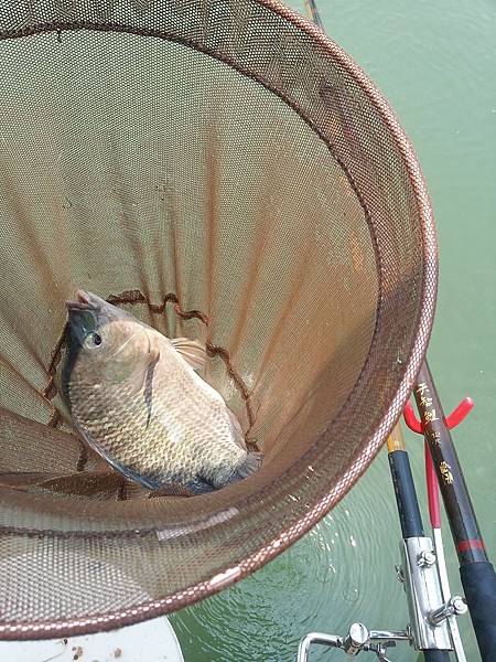 20160720_123922 圖片點擊可在新窗口打開查看