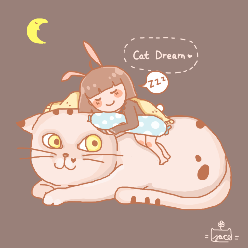 catdream