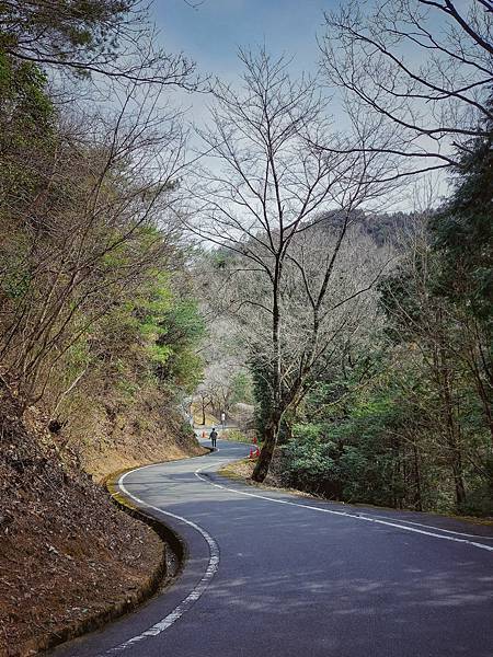 2024.03 日本關西之旅(II)：但馬地區竹田城跡、出石