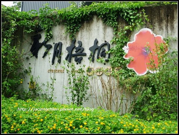 新月梧桐040-f 新月梧桐040-f