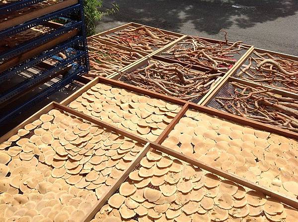 東革阿里台灣代購 大馬東革阿里哪裡買 馬來西亞東革阿里 馬來西亞東革阿里台灣代購部落格 痞客邦