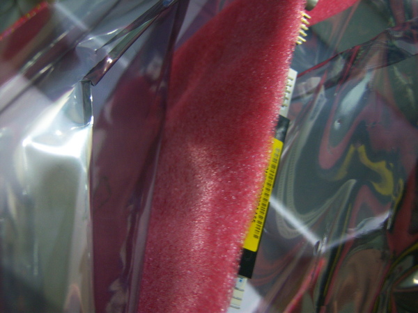 100_2308.JPG