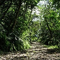 森活步道