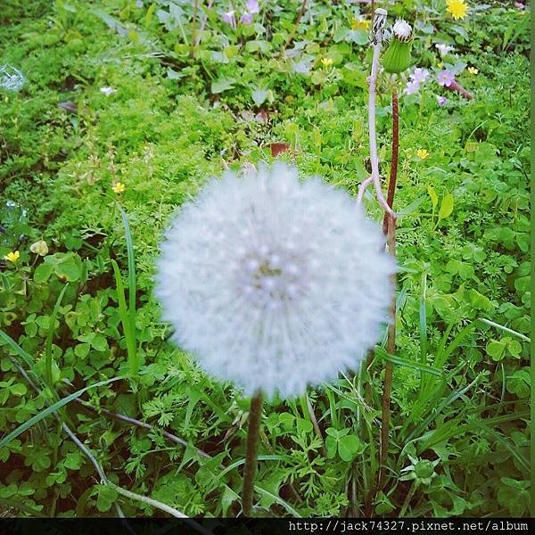 14269707_1440723115943738_1116642446_n.jpg 14269707_1440723115943738_1116642446_n.jpg