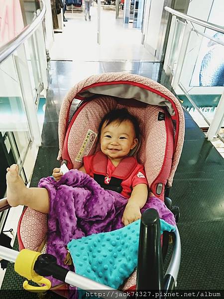 DSC_4646_1510805889810.jpg DSC_4646_1510805889810.jpg