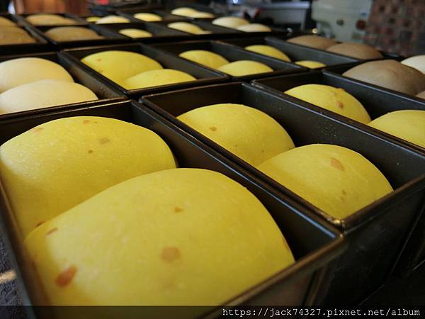 CIMG6303.JPG CIMG6303.JPG