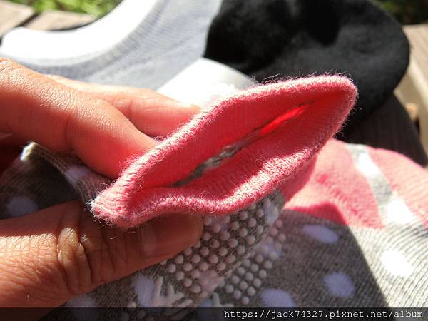 CIMG7955.JPG CIMG7955.JPG