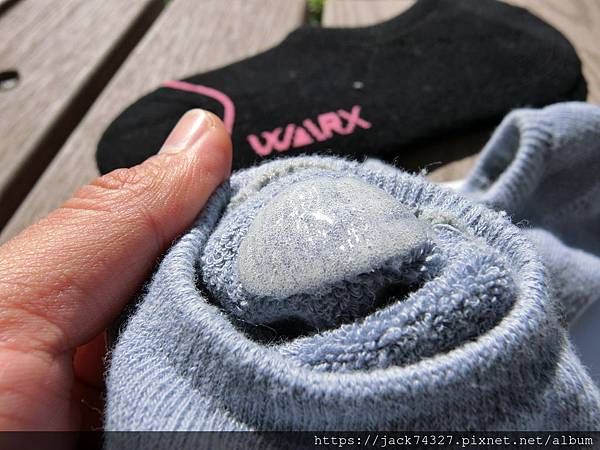 CIMG7967.JPG CIMG7967.JPG