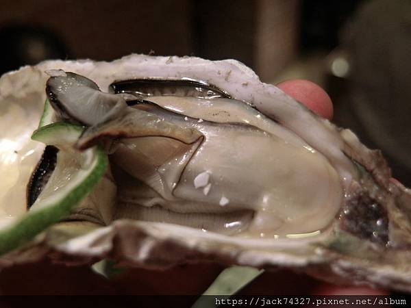 CIMG2681.JPG CIMG2681.JPG