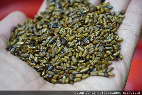 DSC01458.JPG DSC01458.JPG