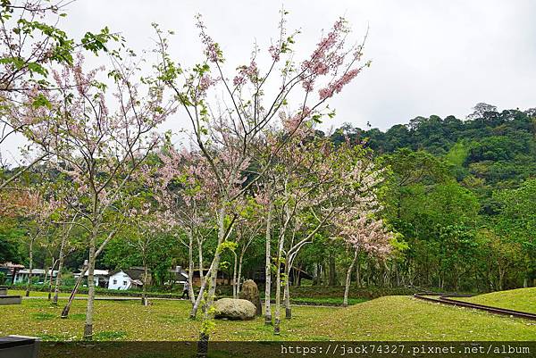 DSC00004.jpg DSC00004.jpg