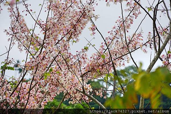 DSC00006.jpg DSC00006.jpg