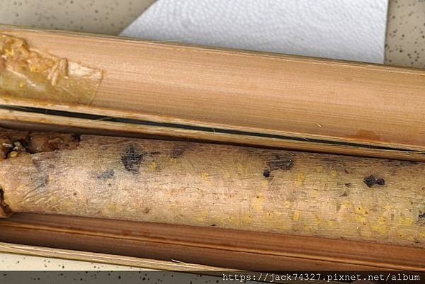 DSC00066.jpg DSC00066.jpg