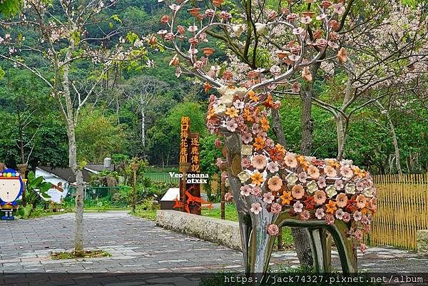 DSC09916.jpg DSC09916.jpg