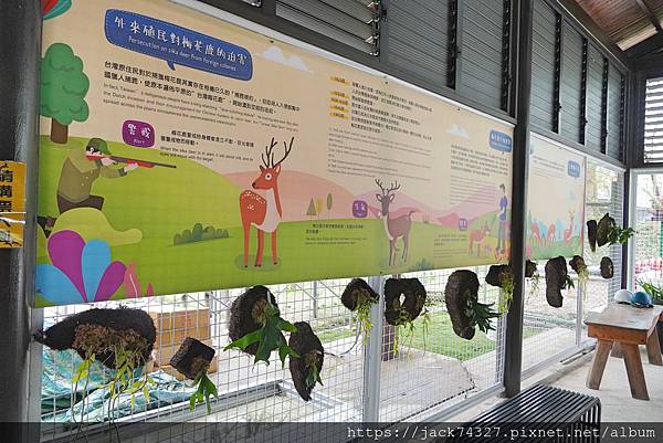 DSC09934.jpg DSC09934.jpg