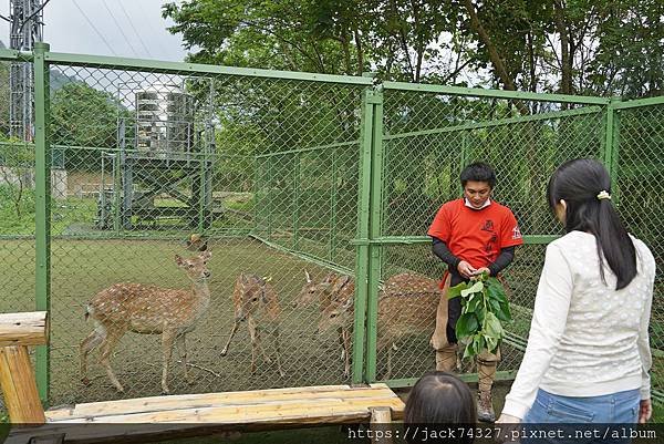 DSC09941.jpg DSC09941.jpg