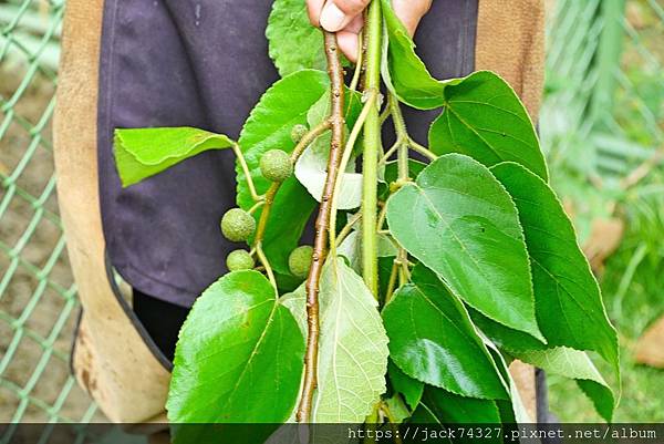 DSC09943.jpg DSC09943.jpg