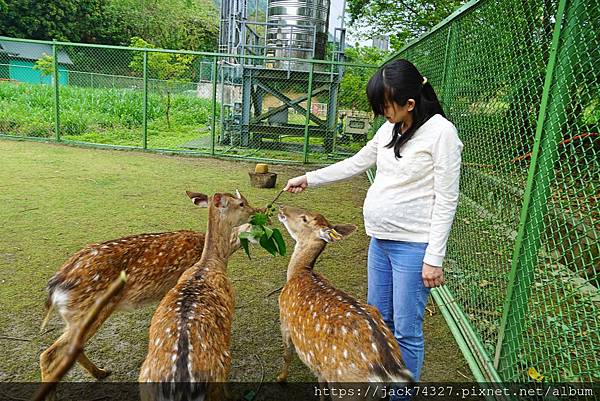 DSC09946.jpg DSC09946.jpg