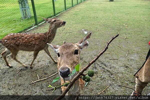 DSC09949.jpg DSC09949.jpg