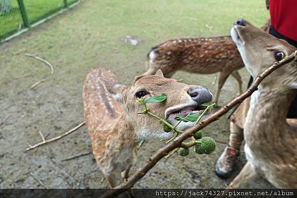 DSC09950.jpg DSC09950.jpg