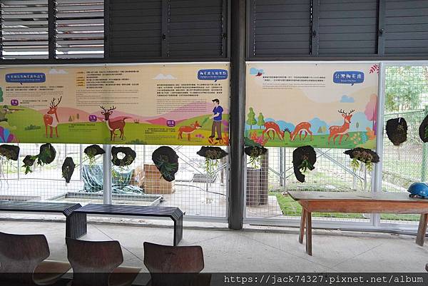 DSC09989.jpg DSC09989.jpg