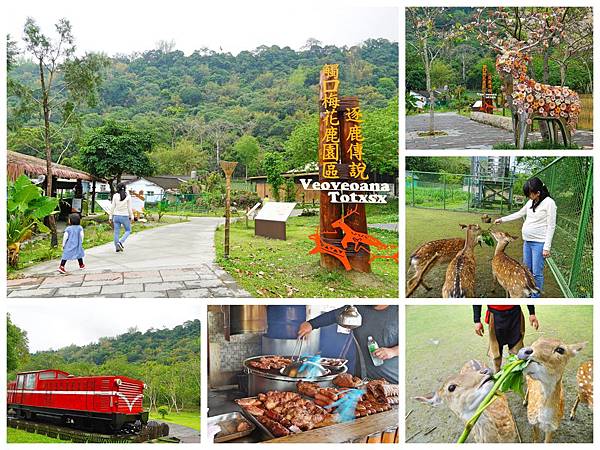 Collage_Fotor.jpg Collage_Fotor.jpg