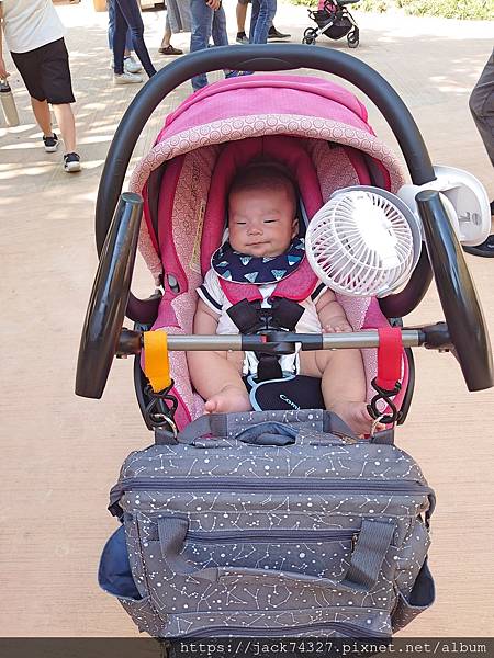 DSC_8528.jpg DSC_8528.jpg