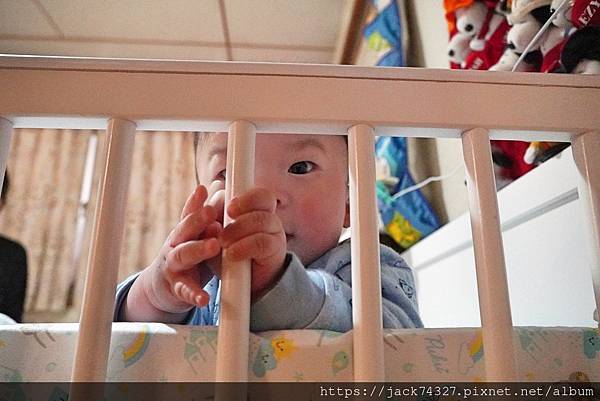 DSC08956.jpg DSC08956.jpg