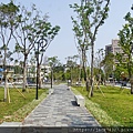 DSC02096.jpg
