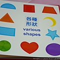 DSC03099.jpg